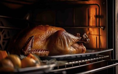 Ready for Roasting: Viking Oven Repair Tips for the Christmas Season